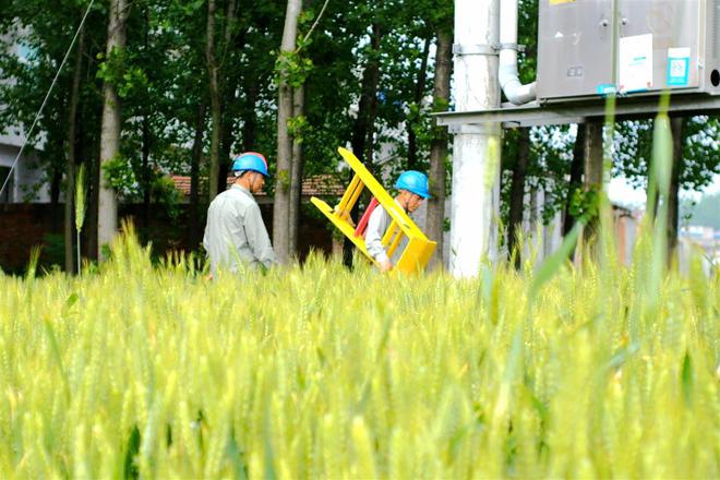 PG麻将胡了：电力工人钱文兵的“五一”如同21年来日复一日的每一天(图2)