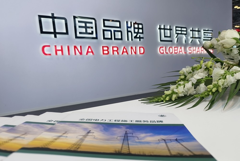 PG麻将胡了：知名全国电力施工品牌：青岛恒东晟电力于上海亮相2024年中国品牌日活动(图3)
