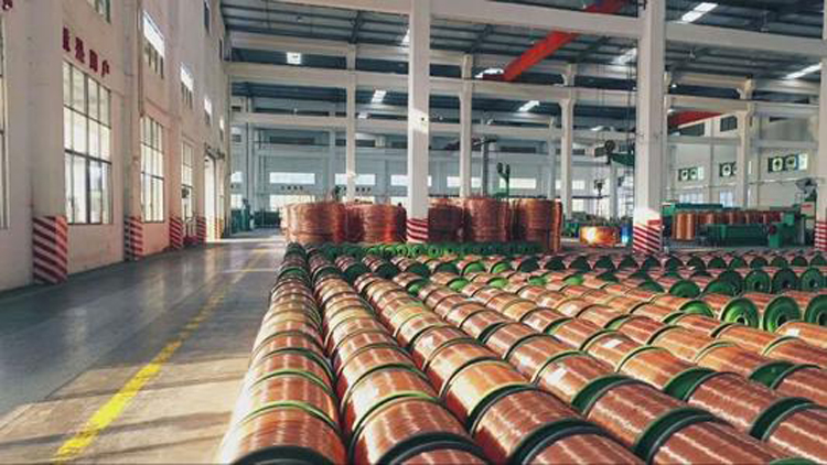 PG麻将胡了：扬帆电缆荣获“2023-2024中国电力电缆十大品牌”等称号！(图3)