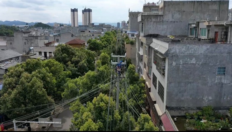 PG麻将胡了：兴仁供电局：加强10千伏电网建设提升迎峰度夏供能“幸福半径”(图4)
