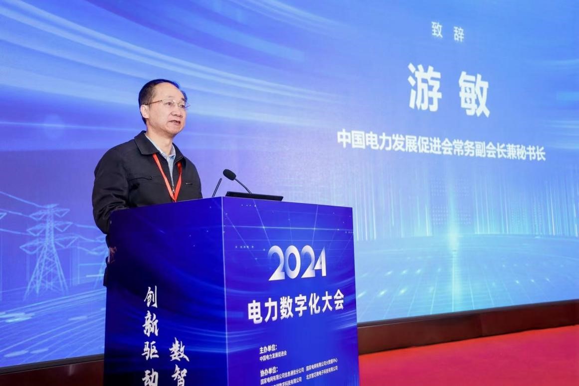 PG麻将胡了：创新驱动数智引领——中国电力发展促进会“2024电力数字化大会”召开(图3)