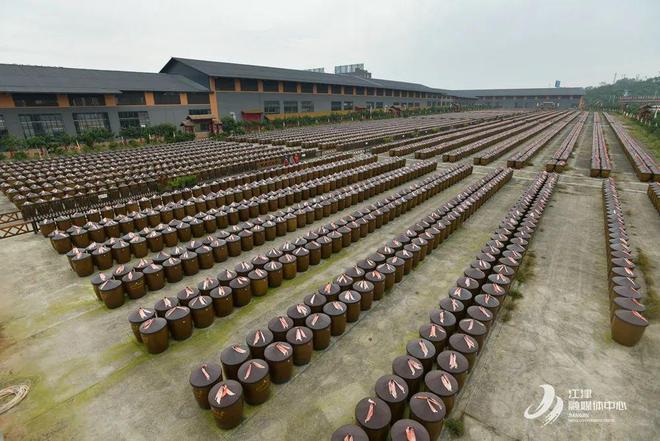 2024江津融媒摄影年鉴王化全：记录江津电力人的光影故事(图12)