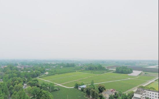 助力乡村振兴：中交中建中铁中电等大批央企大搞农田高标准建设(图2)