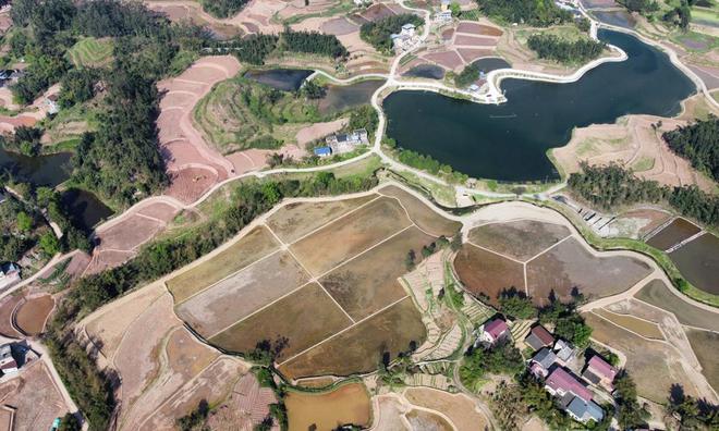 助力乡村振兴：中交中建中铁中电等大批央企大搞农田高标准建设(图6)