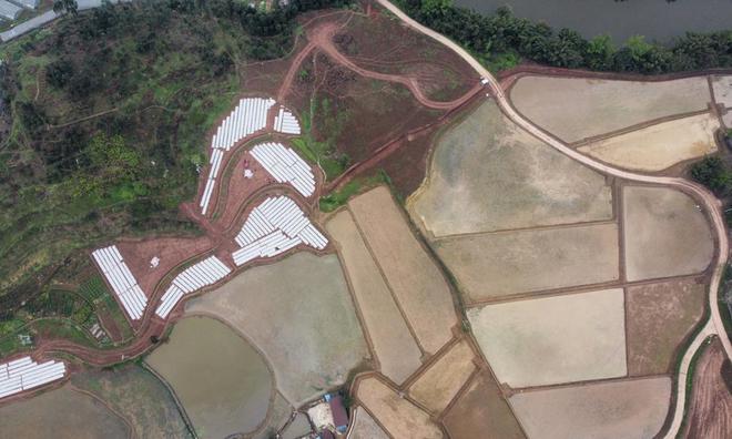 助力乡村振兴：中交中建中铁中电等大批央企大搞农田高标准建设(图8)