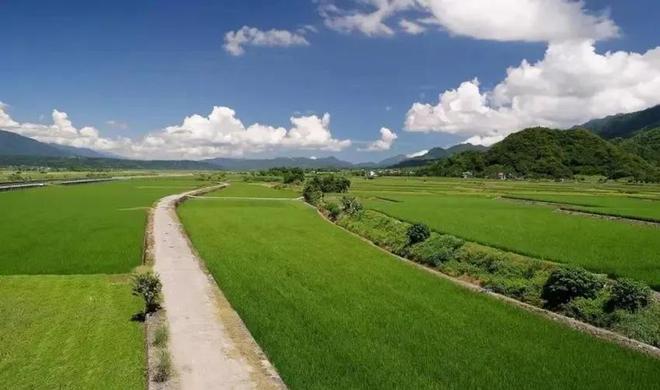 助力乡村振兴：中交中建中铁中电等大批央企大搞农田高标准建设(图10)