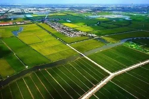 助力乡村振兴：中交中建中铁中电等大批央企大搞农田高标准建设(图11)