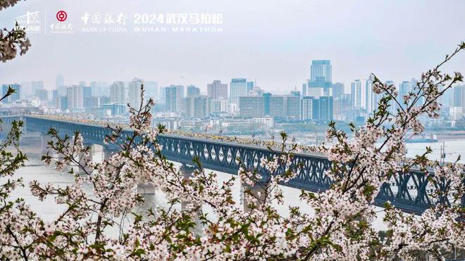 4万份樱花大礼包2025武汉马拉松福利开箱啦！(图4)