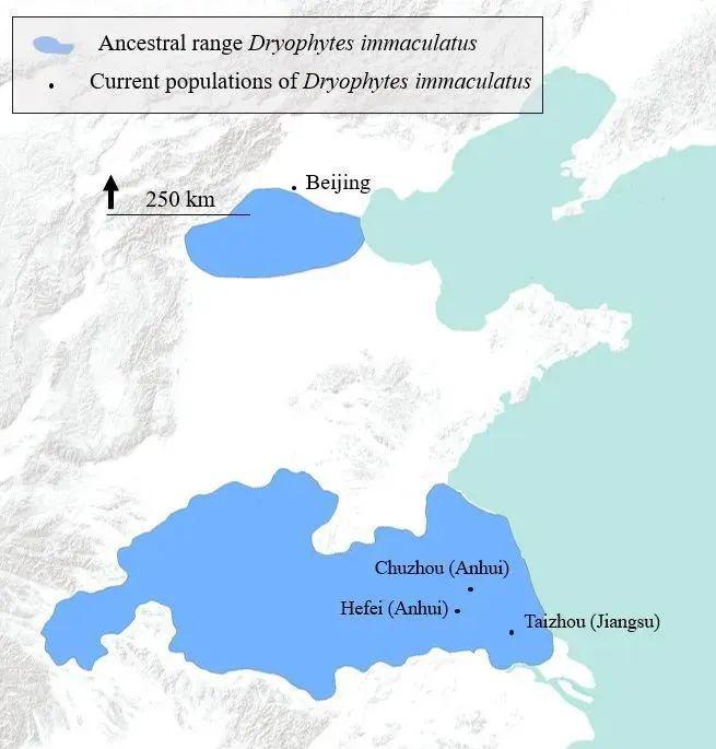 消失近20年上海土著宣告回归！曾被认为极度濒危新家筹备8年即将入住(图4)