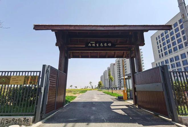 消失近20年上海土著宣告回归！曾被认为极度濒危新家筹备8年即将入住(图8)