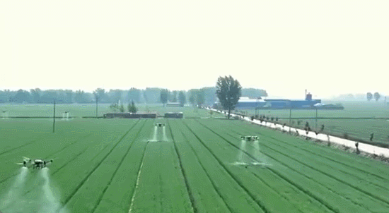 精准施策多地全力以赴缓旱情(图4)