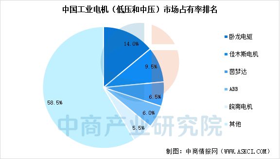 2025年中国工业电机行业市场前景预测研究报告(图7)