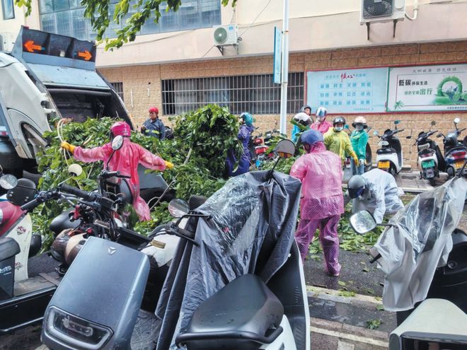 PG麻将胡了：台风“蝴蝶”逼近！三亚全力防御→(图5)