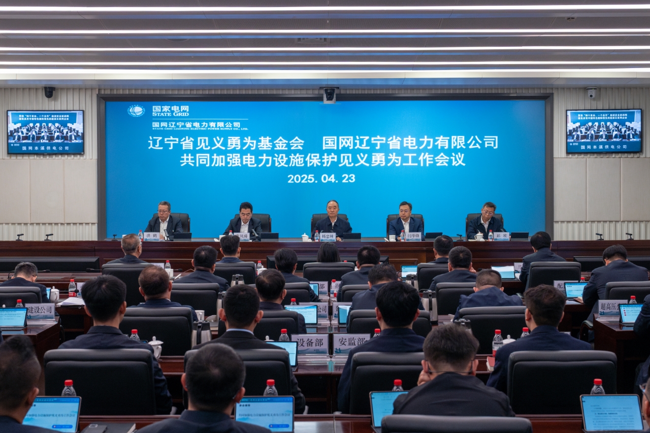 PG麻将胡了：辽宁省首创电力设施保护见义勇为认定奖励机制(图1)