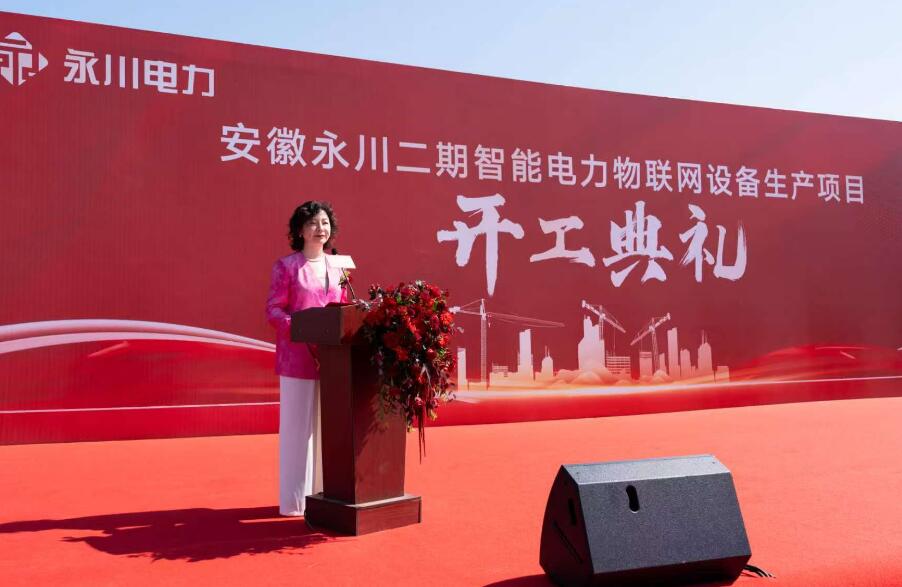 PG麻将胡了：安徽永川电力开展国际合作探索绿色发展新路径(图1)