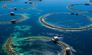 电气设备行业市场空间大2024年中国电气设备行业发展趋势(图5)